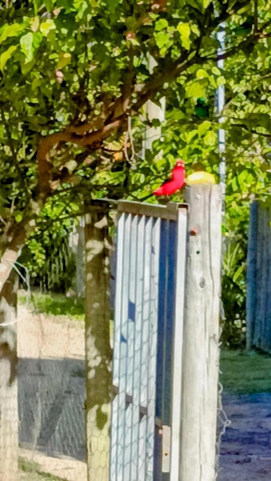 Pousada Casa Da Montanha ซานา ภายนอก รูปภาพ
